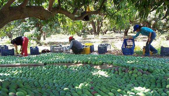 Perú lanza nueva marca para promover sus alimentos en el mundo - 1