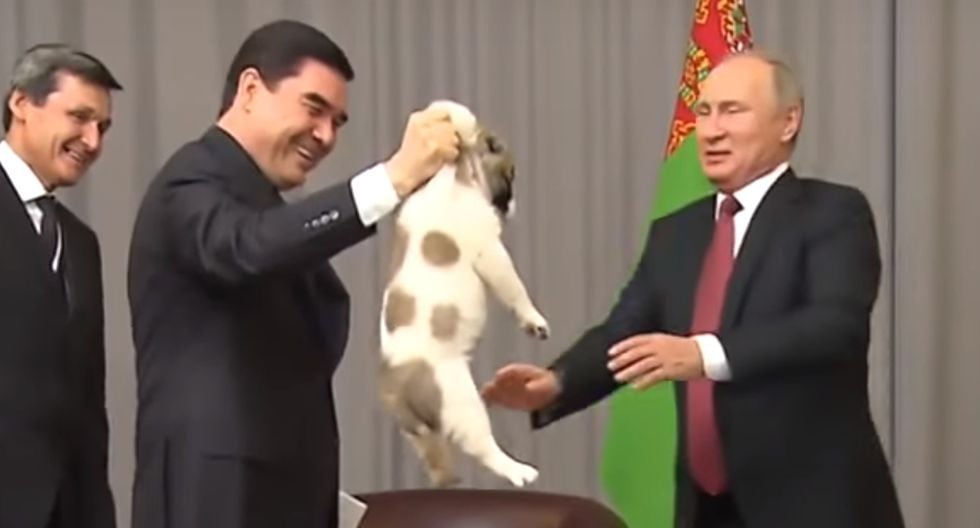 Animales | Vladimir Putin | Perro | Video | ¿Se puede hacer daño a ...