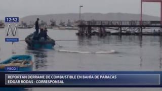 Ica: derrame de combustible en la bahía de Paracas afectó fauna del lugar [VIDEO]