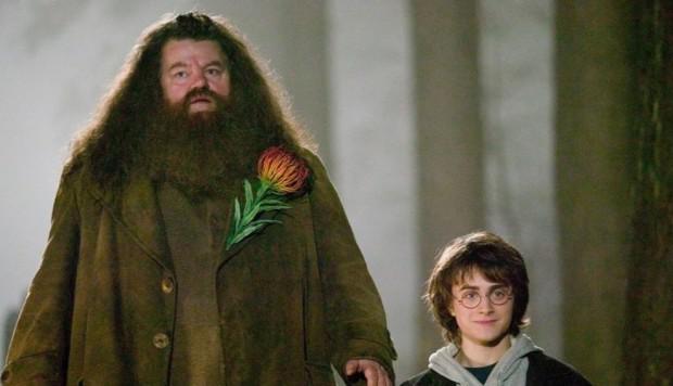 Hagrid,interpretado por Robbie Coltrane, es una de los personajes más queridos del universo de Harry Potter en la saga de libros escritos por J.K. Rowling.