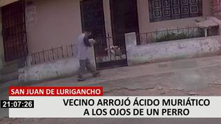 San Juan de Lurigancho: sujeto ataca a mascota lanzándole ácido muriático en los ojos 
