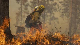 Incendio McKinney en California se descontrola mientras bomberos combaten el fuego
