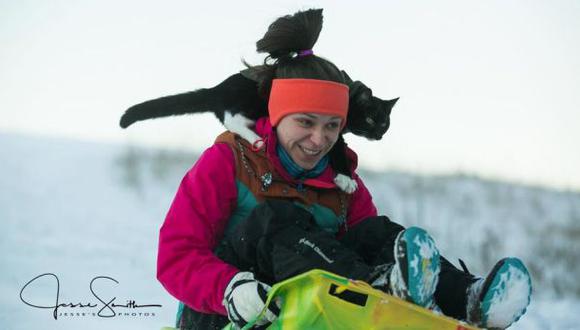 Un gato aventurero saltó a pasear en trineo por la nieve
