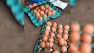 Huaral: incautan droga acondicionada en 100 huevos que tenían como destino el penal de Aucallama