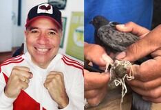 Mathías Brivio celebró rescate de una paloma en Barranca: “Las cosas buenas se comparten”