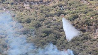Lambayeque: controlan al 90% incendio forestal en Bosque de Pómac