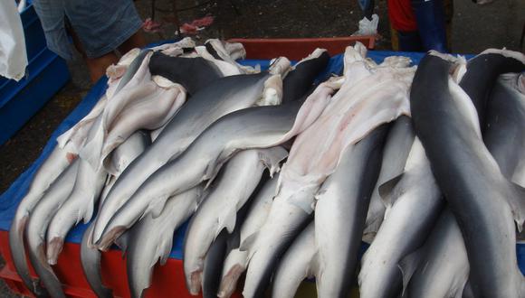 El mar peruano alberga 66 especies de tiburones y por lo menos 32 de éstas son capturadas en pequeña escala. Foto: Oceana