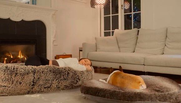 La cama para perros de humanos se vende a 400 dólares desde el sitio Kickstarter.| Foto: Plufl.com