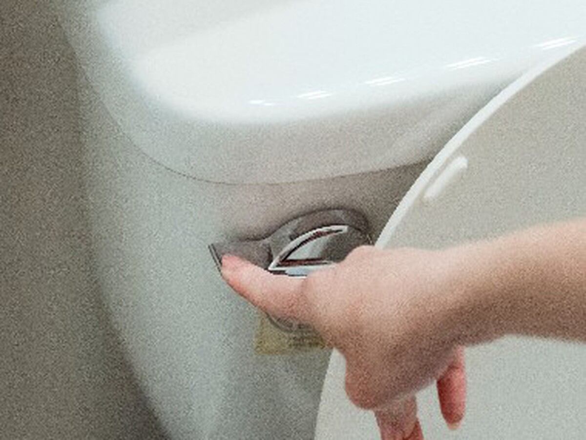 Mano Humana En La Taza Del Inodoro O El WC Que Limpia Con