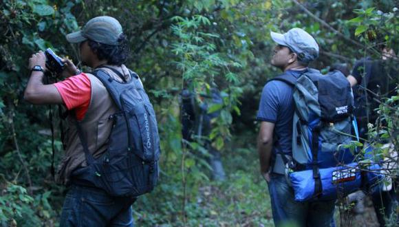 Caminar rodeado de árboles alivia el estrés