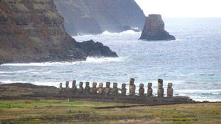 Harán realidad sueño de Jacques Cousteau de reforestar Isla de Pascua