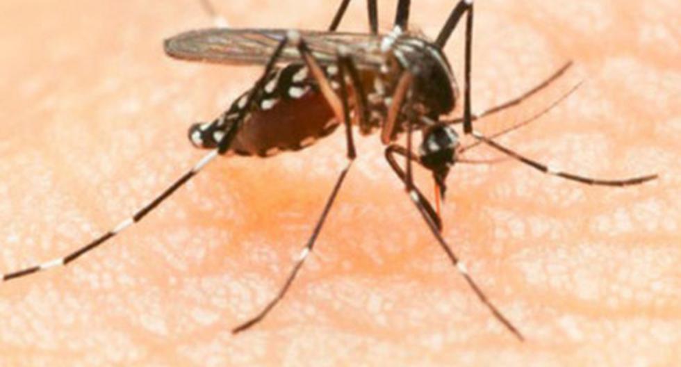 Ministerio de Salud confirmó un brote de Zika en el distrito limeño de Comas. (Foto: Agencias)