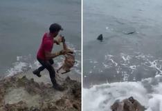 A esto se enfrentaría hombre que le lanzó un perrito a un tiburón en San Andrés