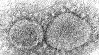 Coronavirus: nueva subvariante de ómicron se propaga más rápido