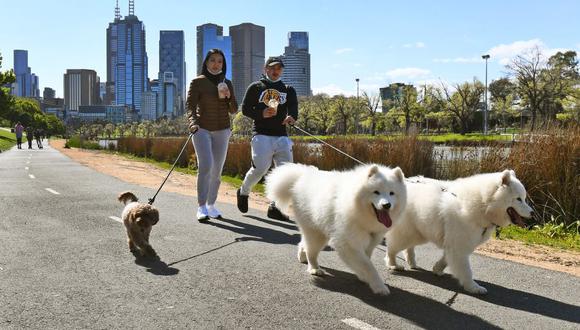 Coronavirus en Australia, Melbourne | Ultimas noticias | Último minuto: reporte de infectados y muertos hoy, domingo 27 de septiembre de 2020. | Covid-19 | (Foto: William WEST / AFP).