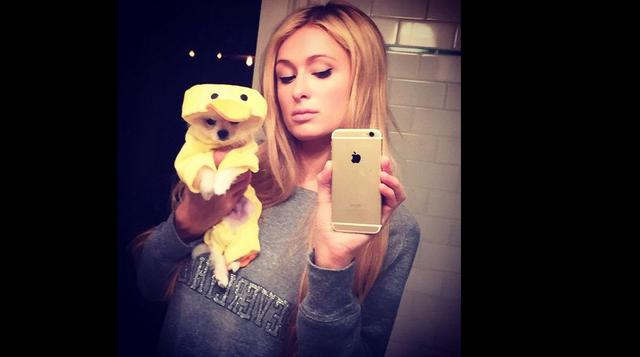 Instagram: el perro de Paris Hilton que cuesta US$13 mil - 1