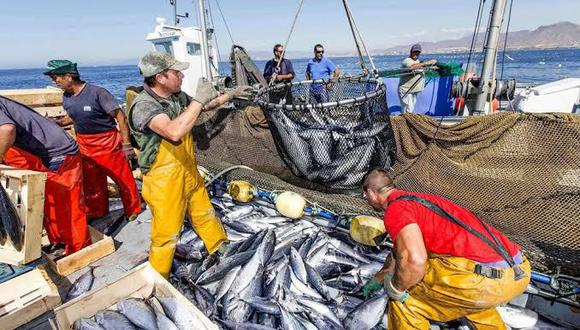 La pesca operará con normalidad en cuarentena, luego de haber implementado todos los protocolos. (Foto: Produce)