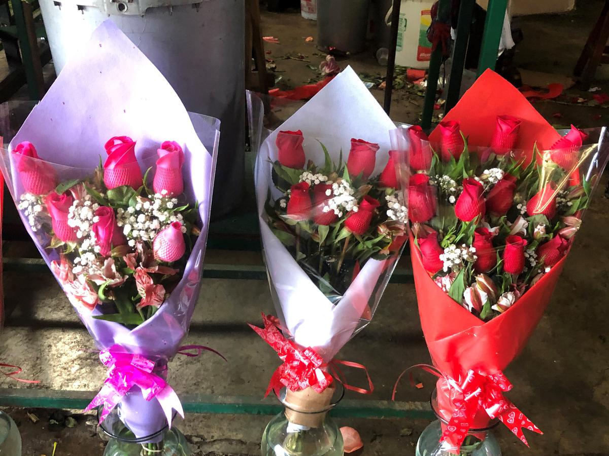 estación de televisión Enfadarse Luna San Valentín: ¿Buscas rosas? Conoce las ofertas de los arreglos florales en  el Mercado de Flores | San Valentín | Mercado de flores | rosas | ECONOMIA  | EL COMERCIO PERÚ