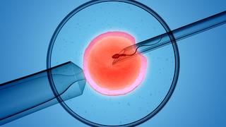 Fecundación In Vitro: qué se necesita, dónde hacerlo y más sobre el tratamiento de reproducción asistida