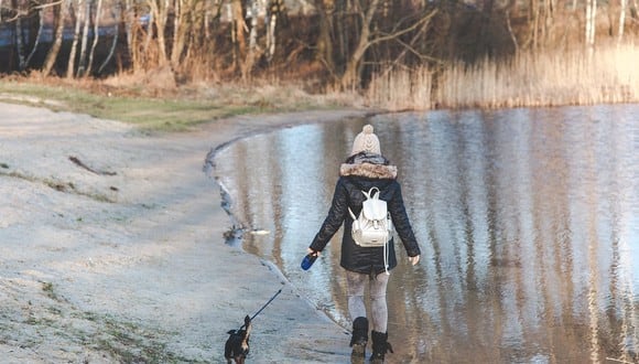 Al ver a su perro hundido en el hielo y sin poder volver a la orilla, Alina no lo pensó dos veces y se lanzó a la frías aguas de la laguna. (Foto: Pixabay/ Referencial)