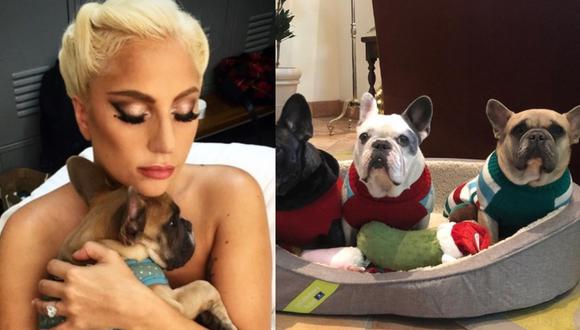 Lady Gaga junto a sus perros bulldogs franceses. (Foto: @ladygaga).