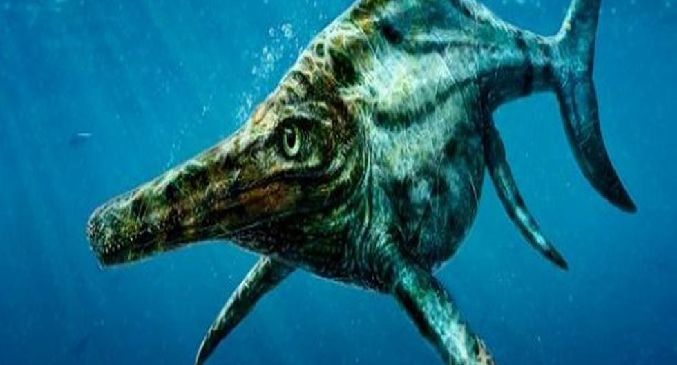 El animal, de la especie *Ichtyosauria*, vivió hace unos 170 millones de años en el mar. (Foto: Actualidad RT)