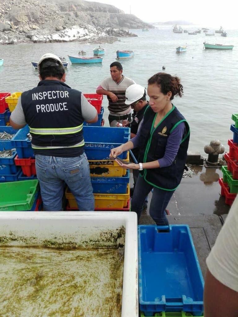 La fiscal Evelyn Lamadrid se ha encargado de incautar embarcaciones y recursos relacionados con el tráfico ilegal de especies acuáticas.