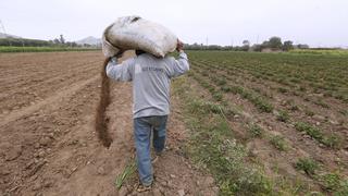 La crisis por falta de fertilizantes se agrava por rol ineficiente del Ejecutivo: el saco casi cuadruplica su precio