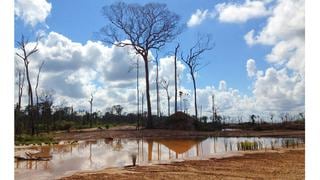 Los mineros artesanales de Tambopata quieren de nuevo su bosque