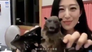 ‘Influencer’ china fue acusada de incentivar el consumo de murciélago en pleno brote de coronavirus