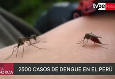 Dengue cosmopolita ha causado 7 muertes en Loreto y Madre de Dios