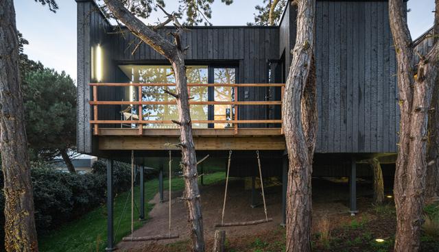 En una colina en un bosque de pinos, en un ambiente acogedor y tranquilo, la naturaleza circundante ha dado forma a esta casa en el árbol. (Foto: Atelier Victoria Migliore)