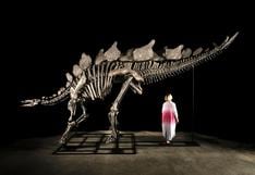 ¿Te gustaría tener un dinosaurio en casa? Subastarán un esqueleto de 150 millones de años