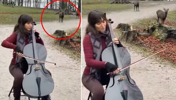 Joven ingresó a un bosque en Dinamarca para tocar su violonchelo para los ciervos. (Imagen: chelodiana / Instagram)