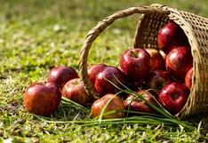 Manzana: ¿cuáles son sus propiedades y valor nutricional? 