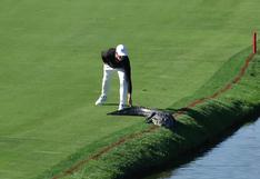 YouTube: golfista Cody Gribble saca del campo a cocodrilo con sus propias manos 