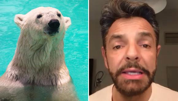 Eugenio Derbez intenta salvar a una osa polar con un video viral en Facebook dirigido al gobierno de México.