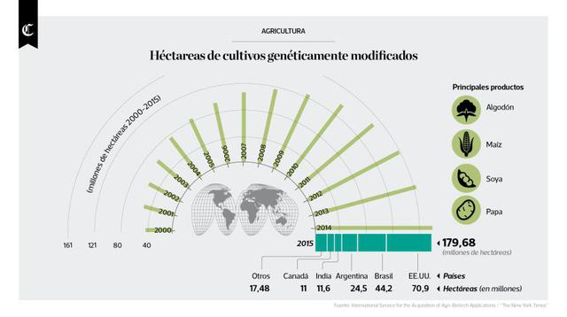 Infografía: hectáreas de cultivo genéticamente modificadas - 1