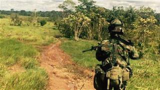 Colombia: Recuperan 280 mil hectáreas ocupadas por las FARC