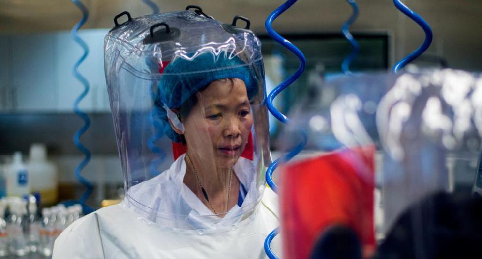 La viróloga chino Shi Zhengli trabaja dentro del laboratorio P4 en Wuhan. AFP