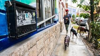 WUF insta a propietarios de perros a hacer paseos cortos para evitar arrestos