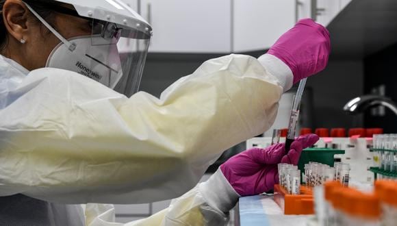 Imagen referencial. Un técnico de laboratorio clasifica muestras de sangre para el estudio de vacunación COVID-19 en Hollywood, Florida, el 13 de agosto de 2020. (CHANDAN KHANNA / AFP).