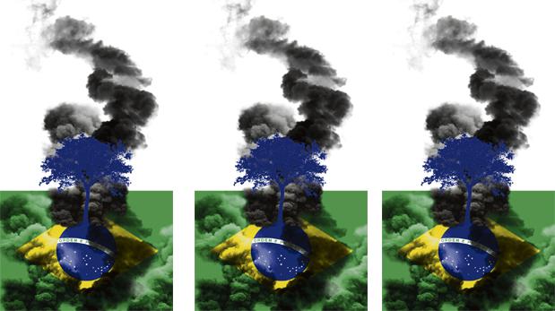 "La cruzada por la Amazonía enfrenta un muy difícil reto: ¿cómo protegemos el bosque y a la vez ofrecemos alternativas económicas viables para los miles que esperan su oportunidad?" (Ilustración: Giovanni Tazza)