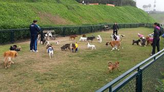 Cómo hacer del parque una gran experiencia