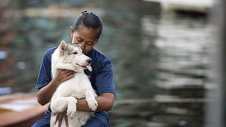 ¿Por qué hay quienes ayudan a perros y no a otras personas?