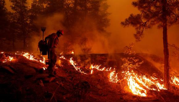 El bombero del Servicio Forestal de los EE. UU. Ben Foley enciende contraataques para frenar la propagación del incendio Dixie, un incendio forestal cerca de la ciudad de Greenville, California, EE.UU. (Foto: REUTERS / Fred Greaves).