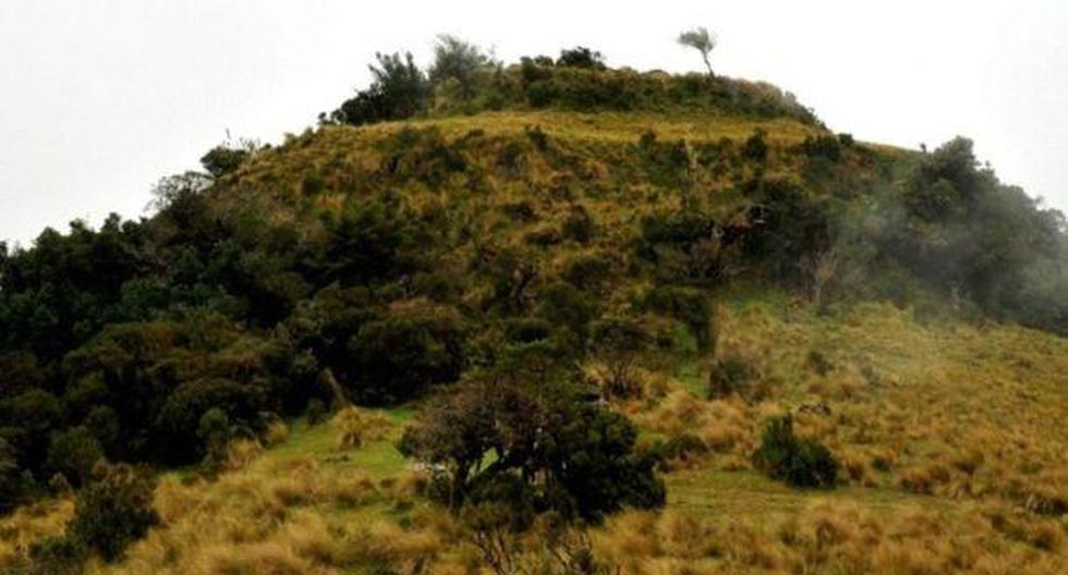 El Refugio de Vida Silvestre Bosques Nublados de Udima, ubicada entre los departamentos de Cajamarca y Lambayeque. (Foto: Andina)