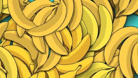 RETO VISUAL | En esta imagen se pueden apreciar muchos plátanos. Indica dónde está la serpiente. (Foto: genial.guru)