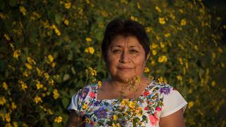 La dama de la miel que enfrentó a Monsanto obtiene el Premio Goldman 2020 