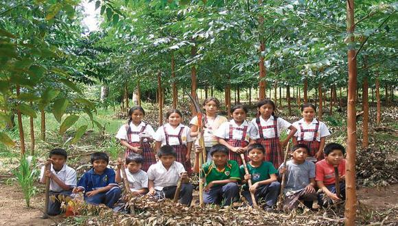 Oxapampa: reforestación ayuda a niños a implementar su colegio